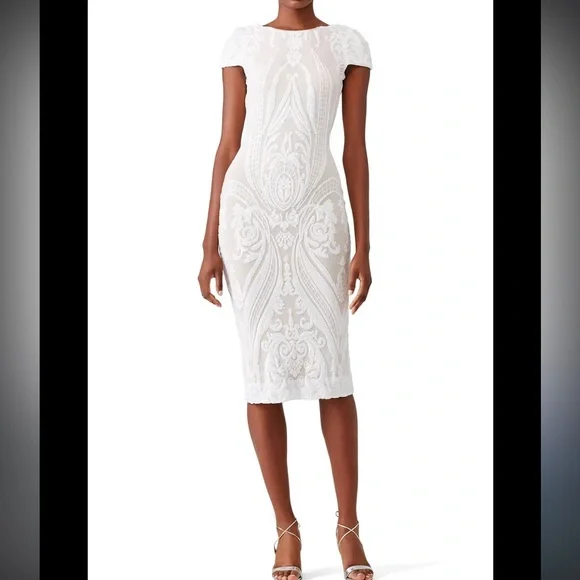 Dress the Population Elegant White and Cream Embroidered Fitted Sheath Dress - Picture 3 of 13